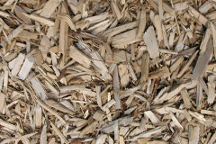 biomass boilers Levencorroch
